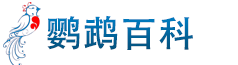 鸟百科