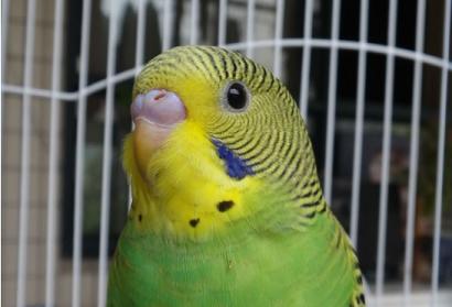 求所有法定上报传染病诊断icd10的编码？